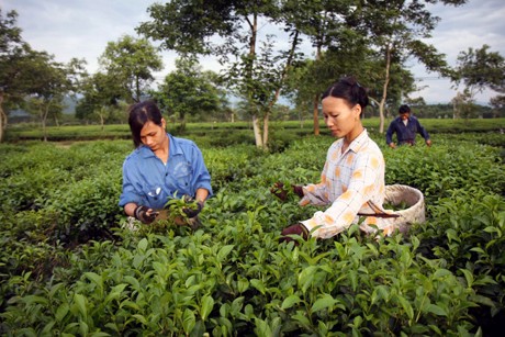 Exchange between Hanoi and Vientiane women - ảnh 1